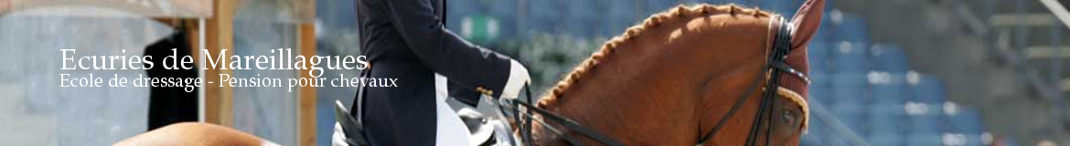 Ecuries de Mareillagues